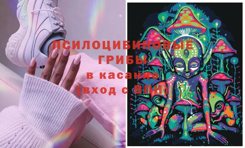 Псилоцибиновые грибы Cubensis  что такое наркотик  Валуйки 